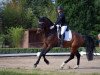 dressage horse Valentino M (German Sport Horse, 2017, from Vitalis)