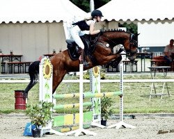 jumper Count on Me 28 (German Sport Horse, 2017, from Conditus)