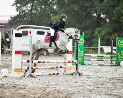 jumper Gracia de Chalet Gilbu (Pony without race description, 2016)