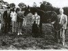 Zuchtstute Anne Diamond (Irish Sport Horse, 1985, von Flagmount Diamond)