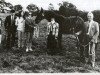 broodmare Anne Diamond (Irish Sport Horse, 1985, from Flagmount Diamond)