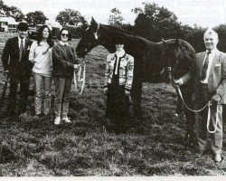 Zuchtstute Anne Diamond (Irish Sport Horse, 1985, von Flagmount Diamond)