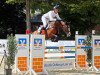 jumper Paula M 5 (Oldenburg show jumper, 2018, from Plot Blue)