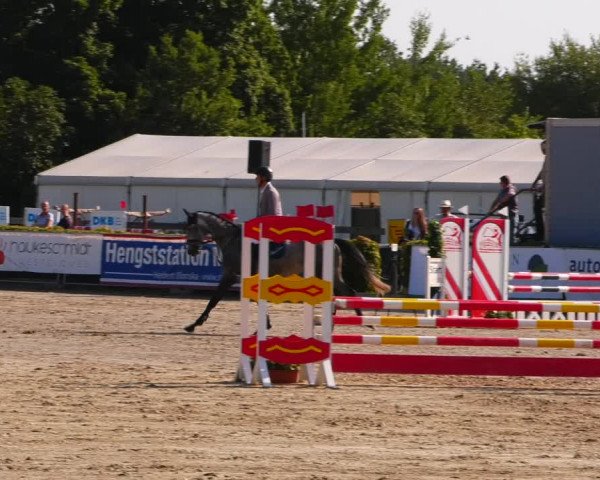 Reitturnier Neustadt/Dosse 2023