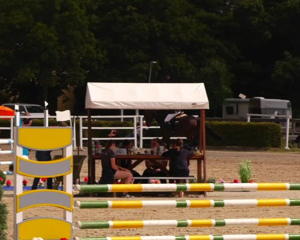 Reitturnier Neustadt/Dosse 2023