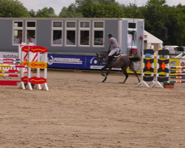 Reitturnier Neustadt/Dosse 2023