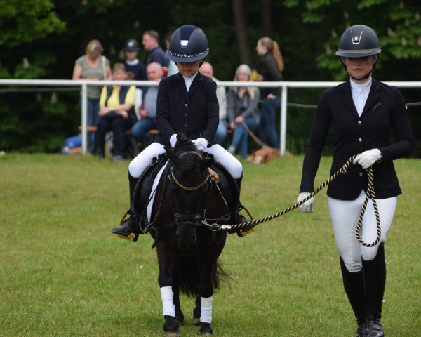 dressage horse Mini Maus 9 (unknown, 2011)