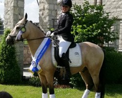 dressage horse Lindenring's Gepetto (German Riding Pony, 2018, from Golden Grey NRW)