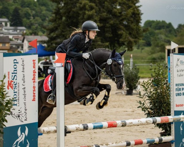 dressage horse Ronja Mia Joy (Pony without race description, 2015)