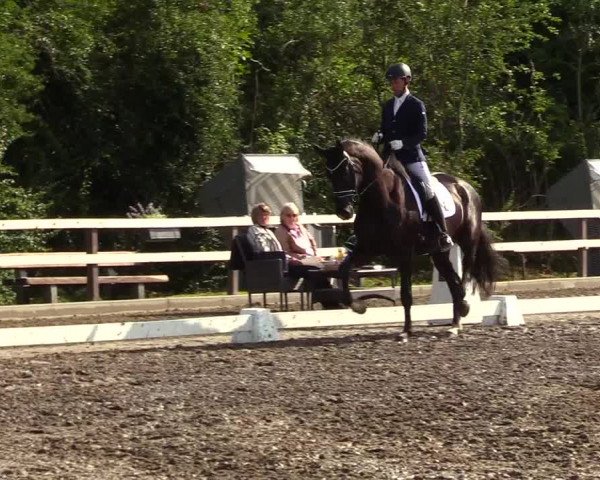 Reitturnier Kleinsolt 2023