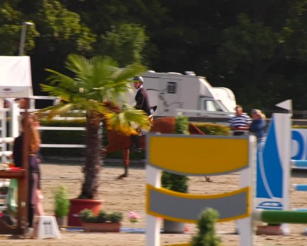 Reitturnier Neustadt/Dosse 2023