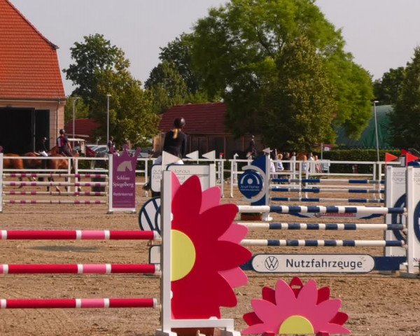 Reitturnier Neustadt/Dosse 2023