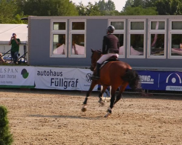 Reitturnier Neustadt/Dosse 2023