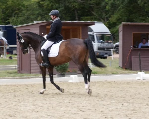 Reitturnier Heiligenwald 2023
