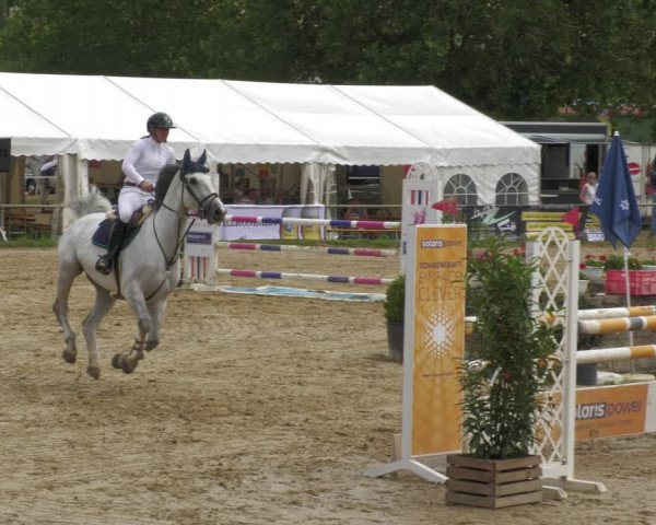 Reitturnier Heiligenwald 2023