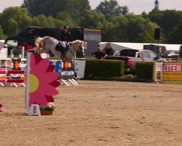 Reitturnier Neustadt/Dosse 2023