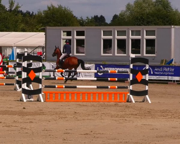 Reitturnier Neustadt/Dosse 2023