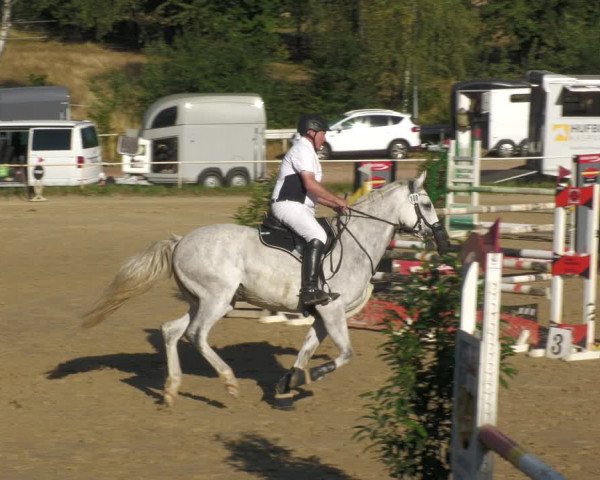 Reitturnier Heiligenwald 2023