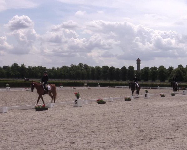 Reitturnier Neustadt/Dosse 2023