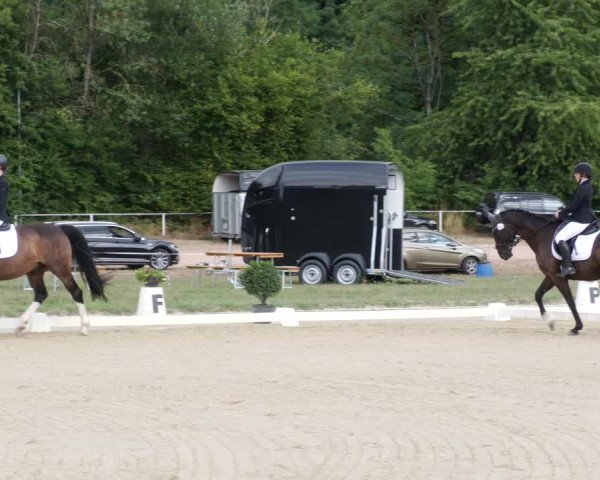 Reitturnier Heiligenwald 2023