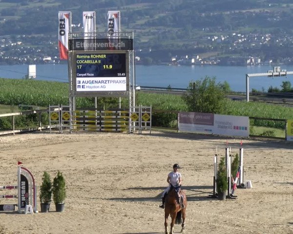 Reitturnier Wädenswil 2023