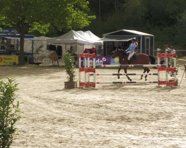 Reitturnier Heiligenwald 2023