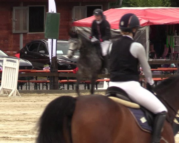 Reitturnier Hemer 2023