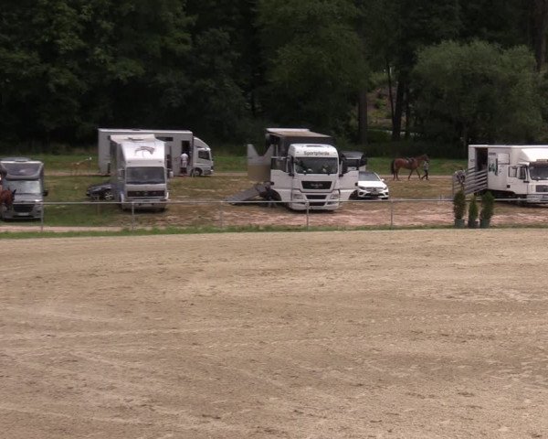 Reitturnier Bad Liebenstein/Sorga 2023