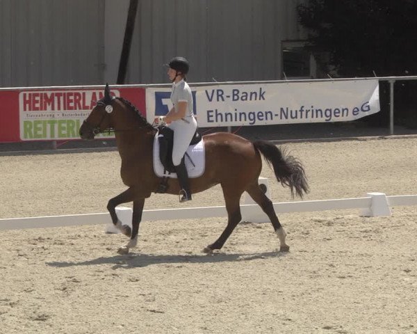 Reitturnier Ehningen 2023