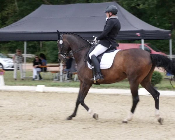 Reitturnier Heiligenwald 2023