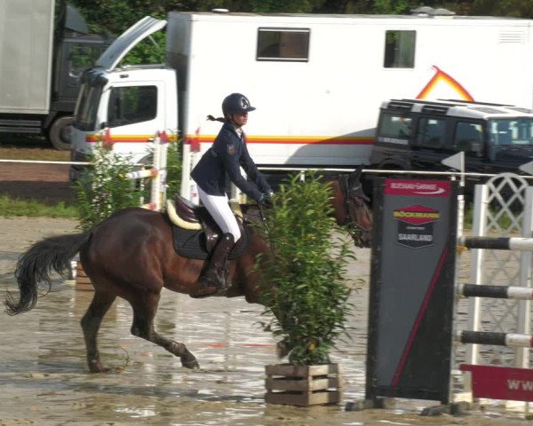 Reitturnier Heiligenwald 2023