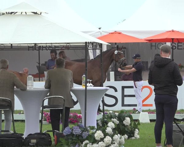 Horse24 Deutsches Fohlenchampionat 2023