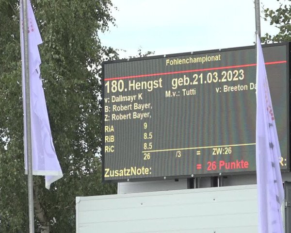 Horse24 Deutsches Fohlenchampionat 2023