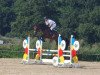 jumper Cascha 3 (German Sport Horse, 2012, from Colestus)