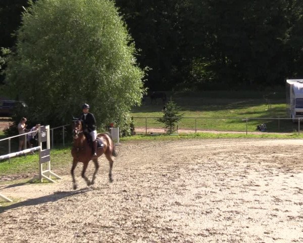 Reitturnier Bad Liebenstein/Sorga 2023