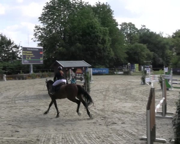 Reitturnier Marienheide-Kempershöhe 2023