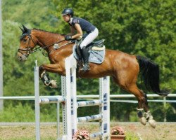 jumper Clint van Schotten (Holsteiner, 2008, from Clarimo Ask)