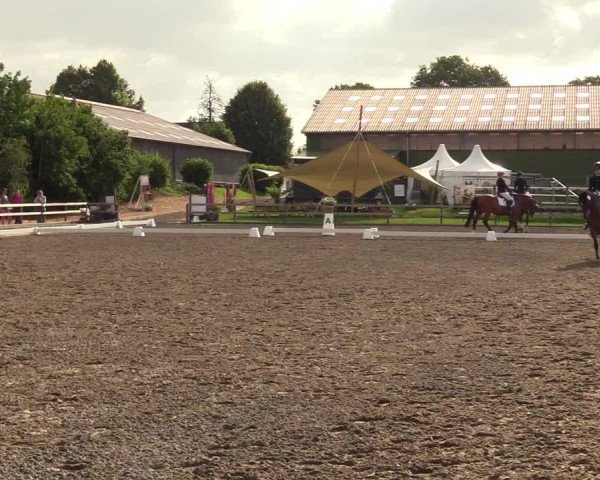 Reitturnier Kleinsolt 2023