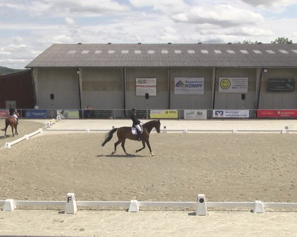 Reitturnier Ehningen 2023