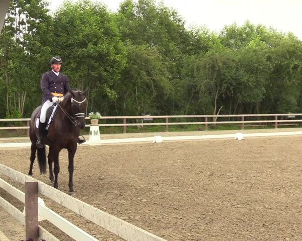 Reitturnier Kleinsolt 2023