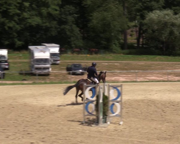 Reitturnier Bad Liebenstein/Sorga 2023
