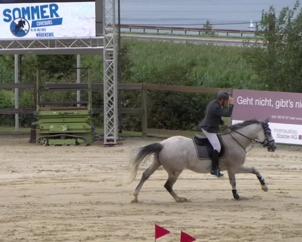Reitturnier Wädenswil 2023