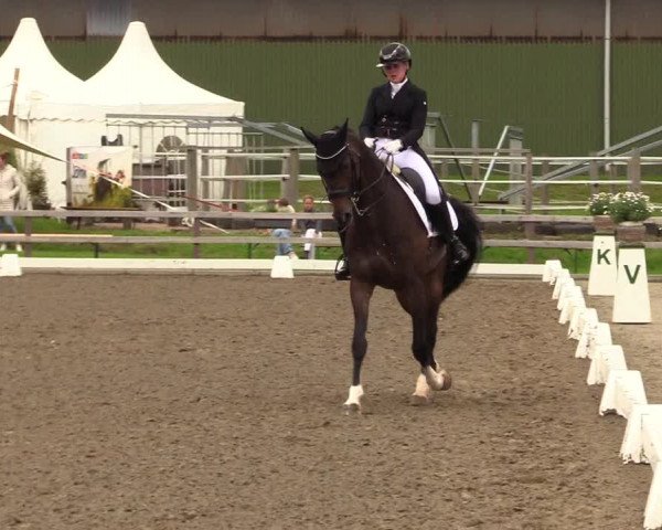 Reitturnier Kleinsolt 2023