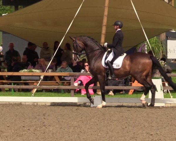 Reitturnier Kleinsolt 2023