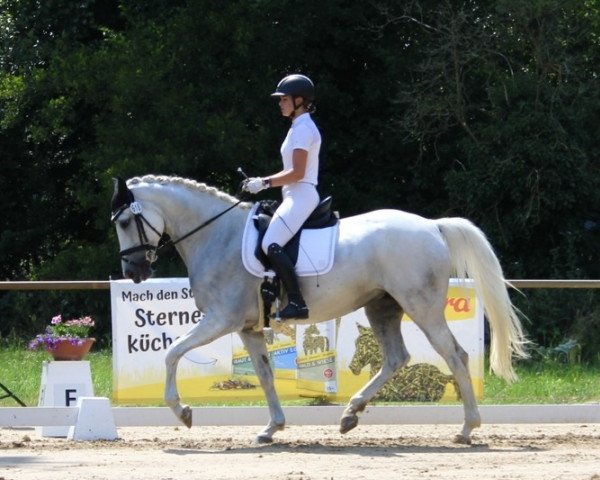 jumper Silver Jeannie (Irish Sport Horse, 2010)