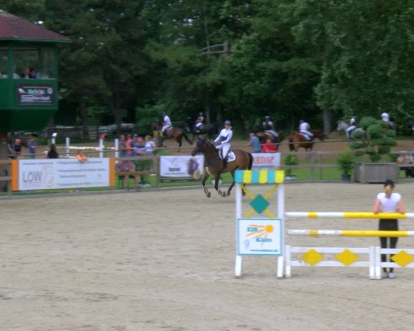 Reitturnier Barlo-Bocholt 2023