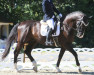 dressage horse Heartbreaker 8 (Austrian Warmblood, 2006, from Herzruf)