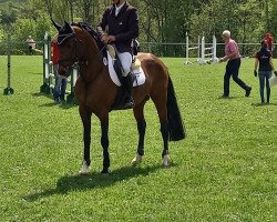 stallion Gründleinshofs President (German Riding Pony, 2013, from Payman 8)