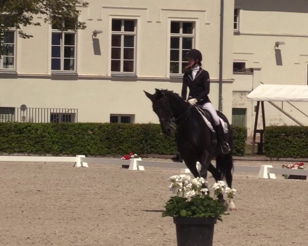 Reitturnier Neustadt/Dosse 2023