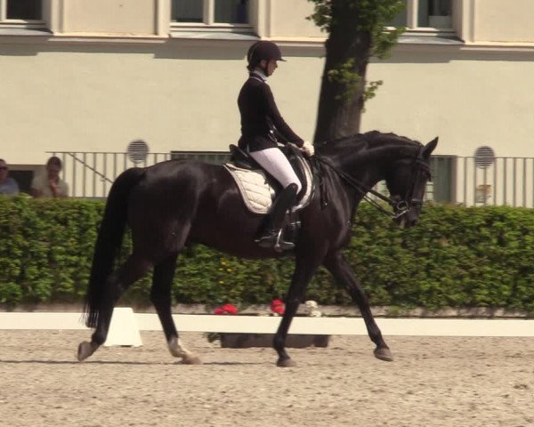 Reitturnier Neustadt/Dosse 2023